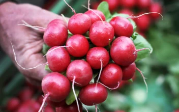 The Anti-Inflammatory, Anti-Cancer, and Blood Sugar-Lowering Properties of Radishes