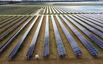 As Solar Capacity Grows, Some of America’s Most Productive Farmland Is at Risk