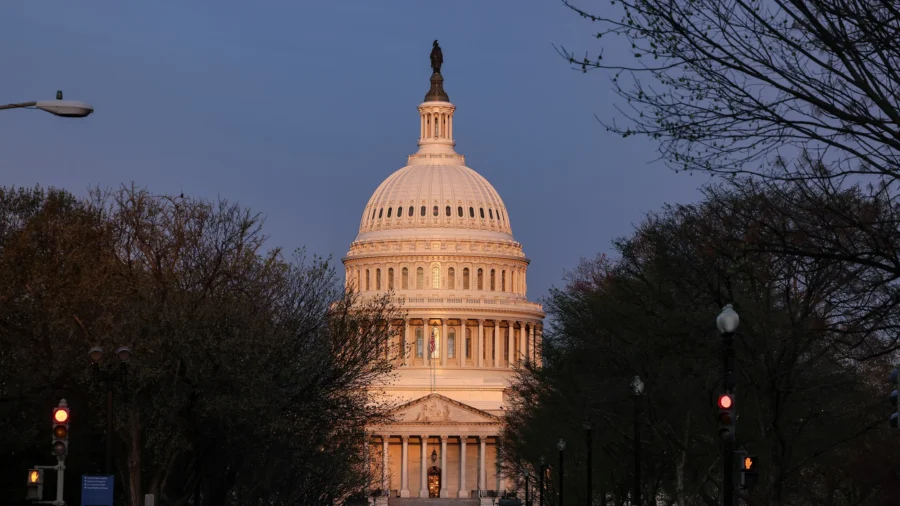 US Senate Majority 'Anybody’s Ballgame': Political Editor at 'The American Conservative'