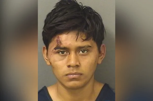 Illegal Immigrant Arrested For Allegedly Sexually Assaulting 11-Year-Old Girl in Florida