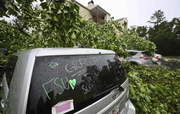 A car is covered by a tree outside an apartment complex in Tallahassee, Fla., on May 10, 2024. (Phil Sears/AP Photo)