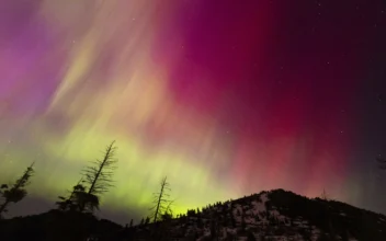 The Northern lights fill the sky at the Bogus Basin ski resort in Boise, Idaho, on May 11, 2024. (Kyle Green/AP Photo)