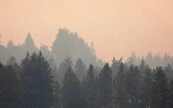 Major Wildfires in Canada Prompt Evacuations, Trigger Air Quality Alerts in US