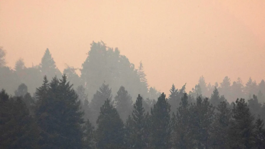 Major Wildfires in Canada Prompt Evacuations, Trigger Air Quality Alerts in US