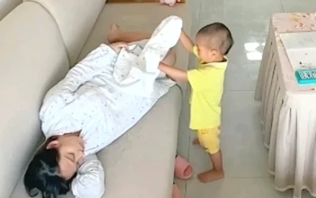 Toddlers Being Truly Helpful