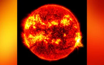 A solar flare, the bright flash at right, on May 14, 2024. (NASA/SDO via AP)