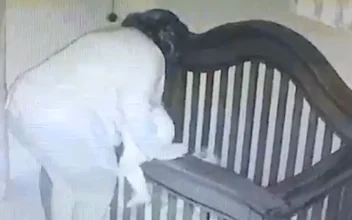 Grandma Tries to Put Baby Into Crib and Falls