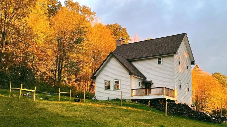 Couple Builds Home From Scratch, Sharing Tips on Adding Character While Saving Money