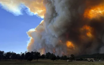 Rains, Cooler Weather Help Firefighters Gain Ground on Large Wildfires in Southern New Mexico