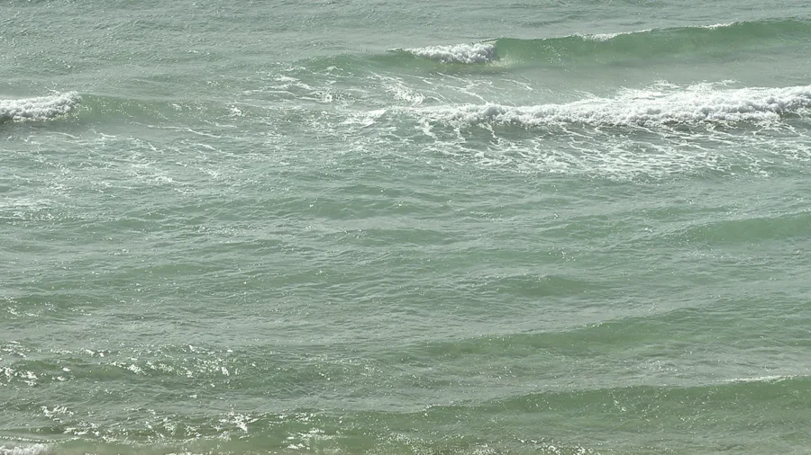 3 Alabama Men Die After Becoming Distressed While Swimming at Florida Beach