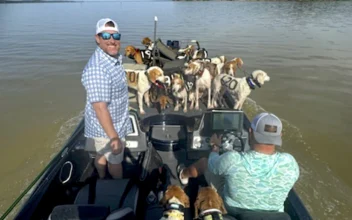 Fishermen Save 38 Dogs From Drowning in Mississippi Lake