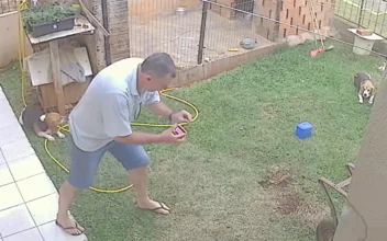 Man Explodes His Backyard Lawn