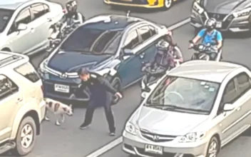 Kind Traffic Cop Holds up Motorists on Busy Road to Get Stray Dog to Safety