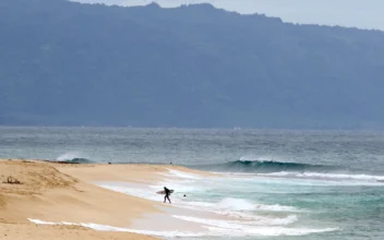 Hawaii Lifeguard Dies in Shark Attack While Surfing Off Oahu