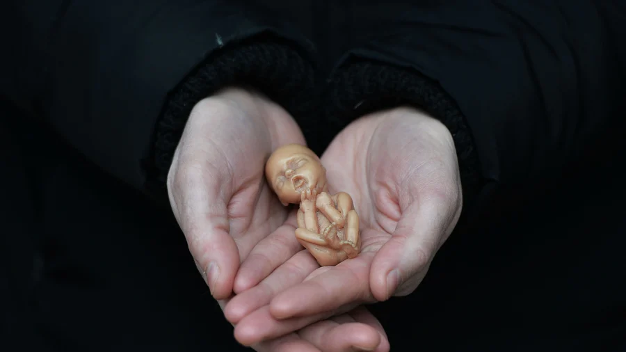 A Look at Post Roe v. Wade Abortion Laws in US