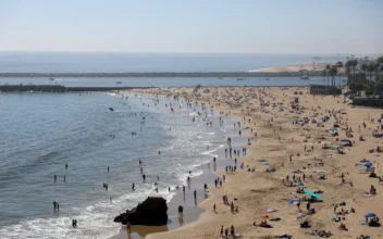 Swimmer Injured by Shark Attack on Southern California Coast