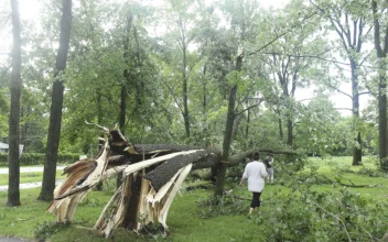 Tornado Hits Michigan Without Warning, Killing Toddler, While Twister in Maryland Injures 5