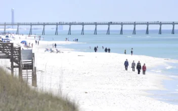 Florida Authorities Warn of Shark Dangers Along Gulf Coast Beaches After 3 People Are Attacked