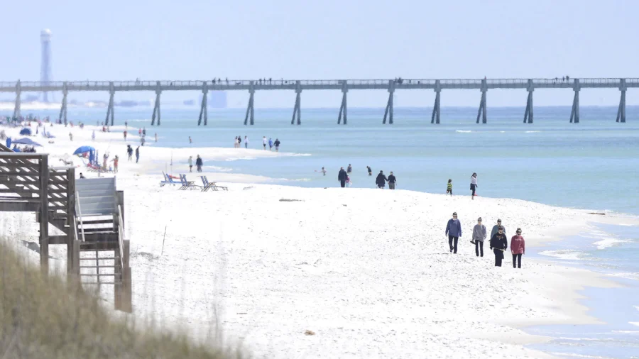 Florida Authorities Warn of Shark Dangers Along Gulf Coast Beaches After 3 People Are Attacked