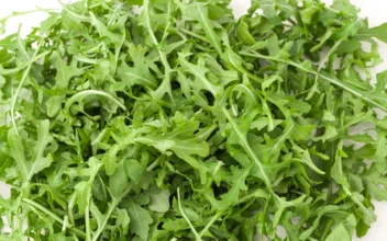 Food Company Recalls Arugula Salad After Salmonella Discovery: FDA