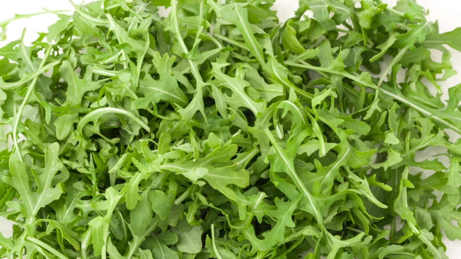 Food Company Recalls Arugula Salad After Salmonella Discovery: FDA