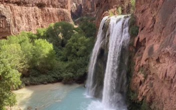 Dozens of Hikers Became Ill During Trips to Waterfalls Near Grand Canyon