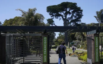 Officers Kill 3 Coyotes at San Francisco Botanical Garden After Attack on 5-Year-Old Girl
