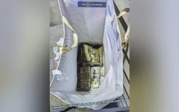 2 More People Charged With Conspiring to Bribe Minnesota Juror With Bag of Cash Plead Not Guilty