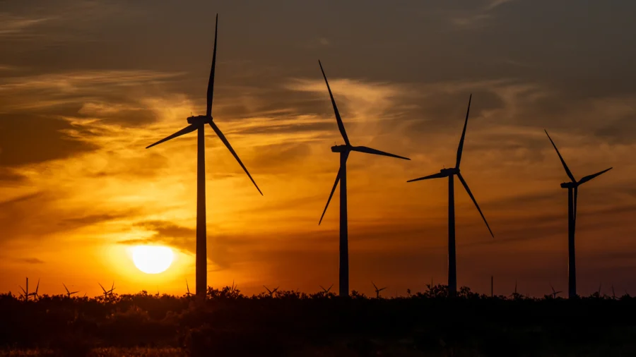 Alternative Energy Markets Distorted by Subsidies: Founder & CEO, American Energy Institute
