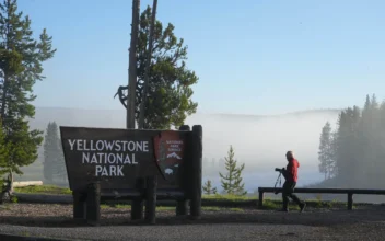 1 Dead, Yellowstone National Park Ranger Injured in Fourth of July Shooting