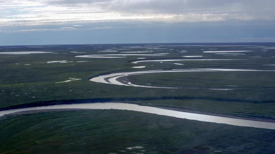 Alaska, Oil Companies Sue Department of Interior Over Petroleum Reserve Rule