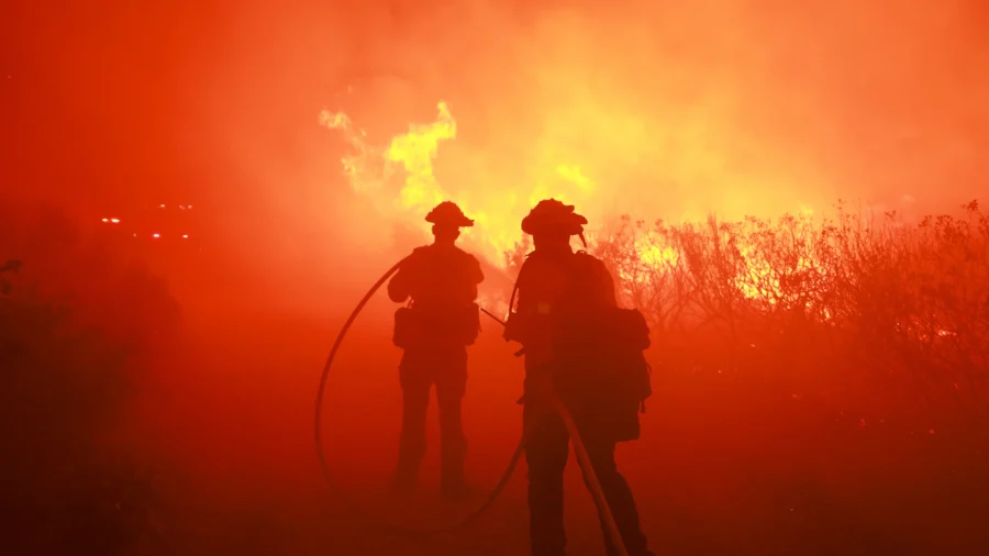 Forest Fire Has Burned 4,000 Acres in New Jersey but Is Now 65 Percent Contained, Officials Say