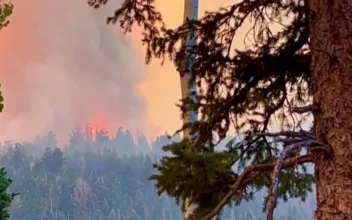 Silver King Fire Nearly Doubles to 11,000 Acres