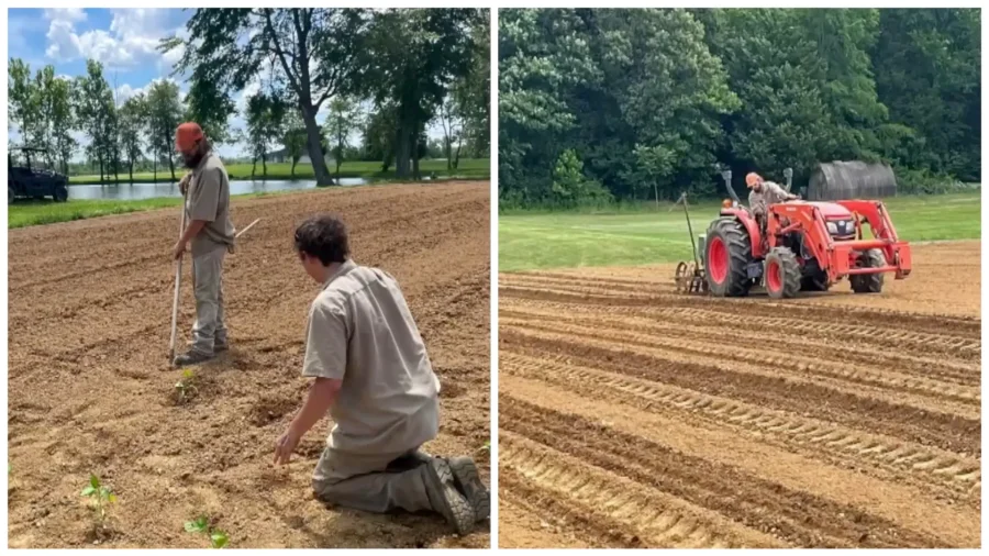 Kentucky Inmates Trade Canned Food for Fresh Produce, Learn New Skills