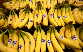 Importance of Getting Sufficient Potassium in Our Diets