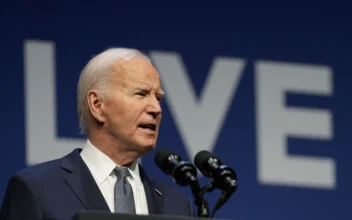 Biden Withdrawal Is Reinvigorating the Democratic Party: Political Strategist