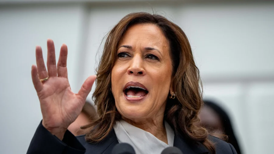 A Closer Look at VP Harris's Record