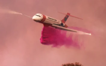 Firefighters Tackle Multiple Wildfires Across California