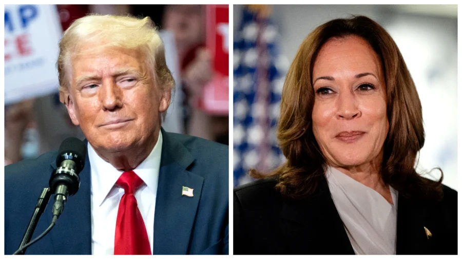 Democrats Will Coalesce Around Harris in a Close Race, but Trump Has Advantage: Political Strategist
