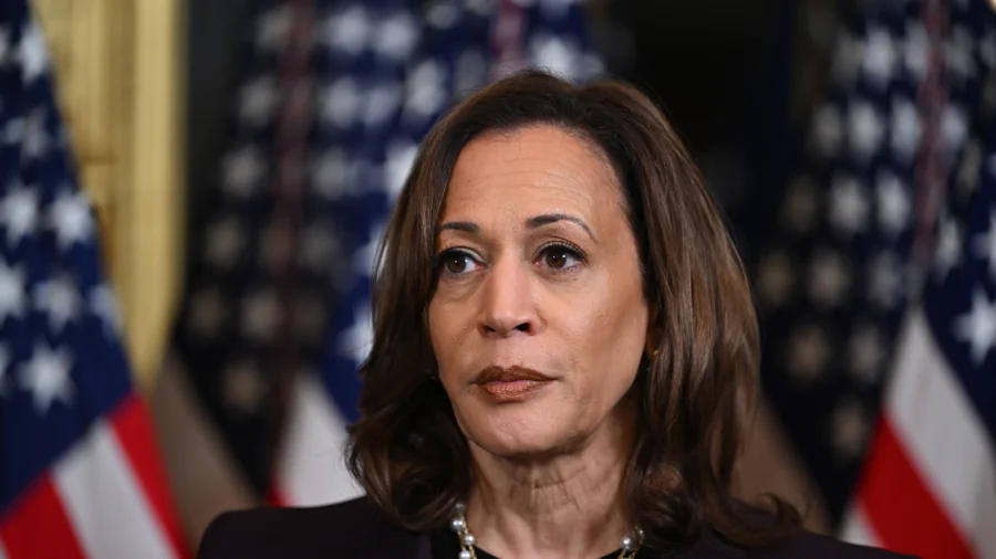 DNC Rules Committee Hammers Out New Process for Virtual Role Call
