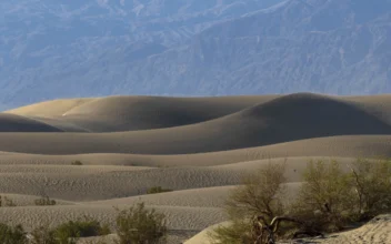 Man Got 3rd-Degree Burns Walking on Blazing Hot Sand Dunes in Death Valley, Rangers Say