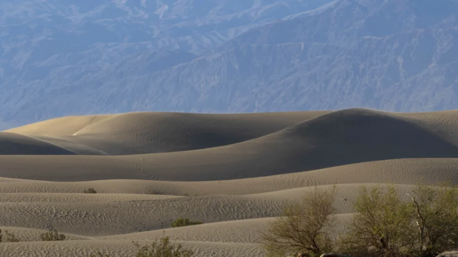 Man Got 3rd-Degree Burns Walking on Blazing Hot Sand Dunes in Death Valley, Rangers Say