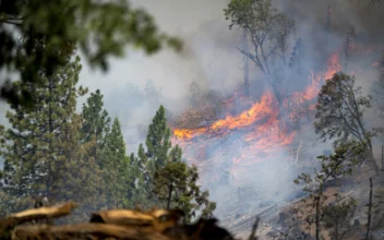 Crews Battle Wildfires Across US West and Fight to Hold Containment Lines