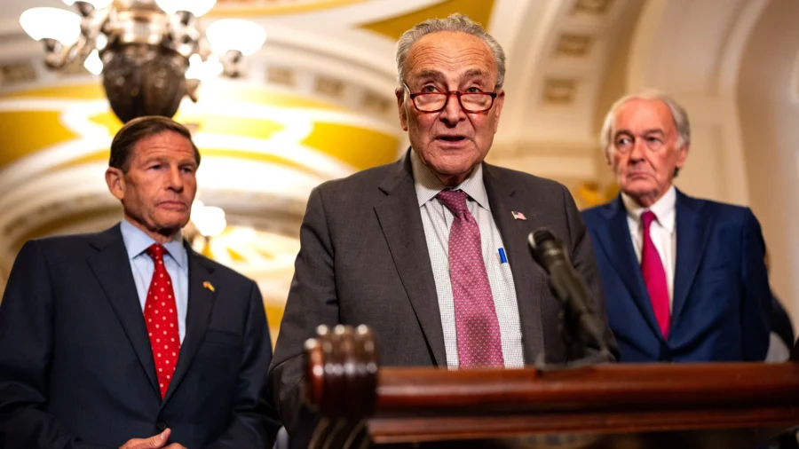 Schumer Announces Senate Vote on Child Tax Credit Expansion