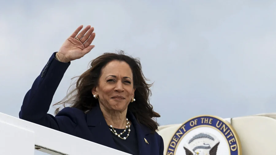 A Closer Look at Kamala Harris's List of Likely VP Picks