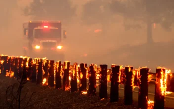 California’s 10 Largest Wildfires and What Caused Them