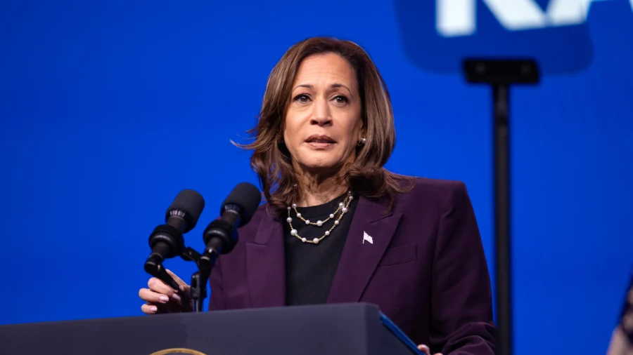 Harris Has Enough Votes to Win Democratic Presidential Nomination, DNC Says