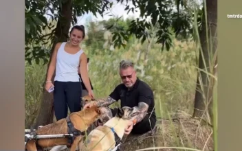 Chance Encounter Transforms Restaurant Entrepreneur Into Dog Sanctuary Founder