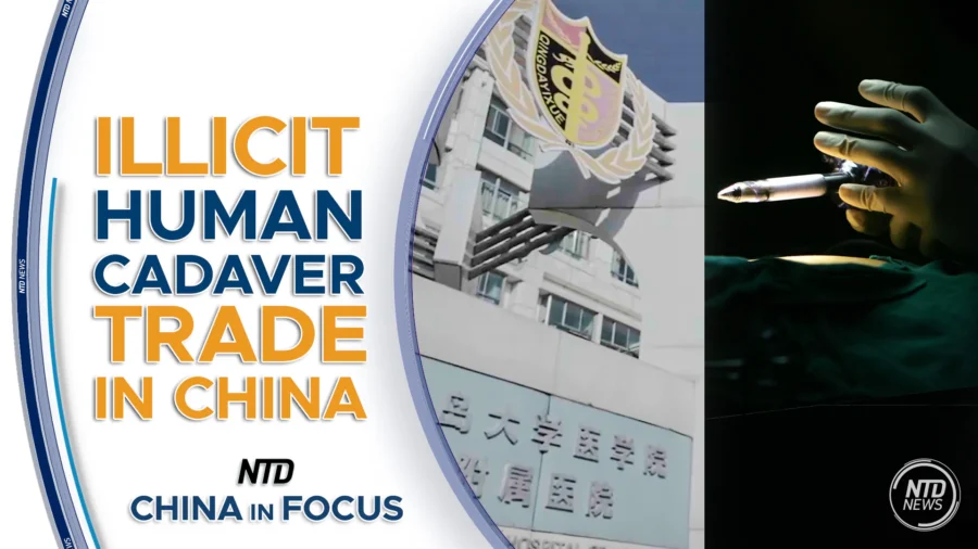 China in Focus Full Broadcast (Aug. 12)