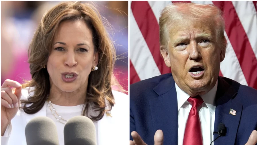 Both Harris, Trump Campaigns Gravitating Toward Political Center With Pro-Business Policies: Hispanic Business Representative